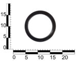 Сальник 100-125-12 TC (NBR)